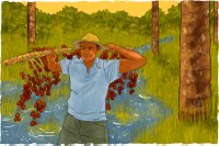 Ilustração: Calendário MPF 2025 Defensores do Cerrado: ação do MPF destaca comunidades tradicionais que contribuem para a proteção do bioma