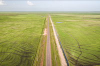 Foto: Cícero Pedrosa Neto/Amazônia Real TRF1 suspende decisão que transferiu para a Justiça Estadual ação contra arrozal ilegal no Marajó (PA)