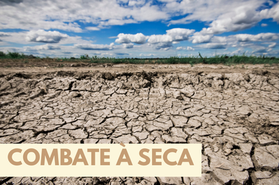 Imagem: Canva Imagem de solo rachado e seco, típico de regiões com forte estiagem, ocupando a maior parte da cena. Ao fundo, há uma linha estreita de vegetação verde sob um céu azul com muitas nuvens brancas. Na parte inferior, uma faixa bege contém o texto em letras maiúsculas: “COMBATE À SECA”.