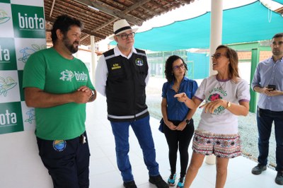 Programação Dia do Mangue