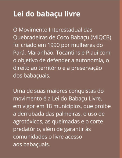 jul25-babacu-1.jpg Lei do babaçu livre