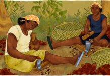 a jornada sustentável dos povos tradicionais dos babaçuais, da caatinga e da restinga — Procuradoria-Geral da República