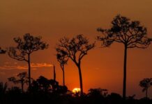 Após ação do MPF, Justiça determina que ICMBio realize georreferenciamento na Reserva Chico Mendes (AC) — Procuradoria da República no Acre