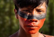 Justiça Federal acolhe argumentos do MPF e arquiva inquérito sobre protesto indígena no PA contra a Ferrogrão — Procuradoria da República no Pará