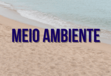 MPF acompanha planejamento de ordenamento na Praia da Sereia com foco social e ambiental — Procuradoria da República em Alagoas