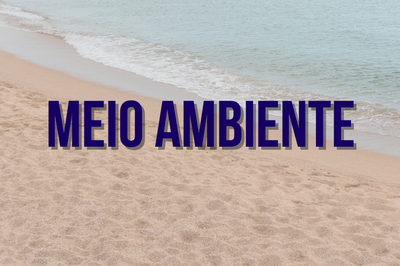 uma praia ao fundo, e em destaque, MEIO AMBIENTE