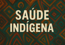 MPF busca garantir emissão de passagens para indígenas isolados em tratamento de saúde no Alto Solimões (AM) — Procuradoria da República no Amazonas
