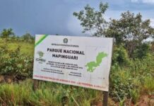 MPF cobra na Justiça que Hidrelétrica de Jirau respeite cota de inundação e compense danos ao Parna Mapinguari, em Rondônia — Procuradoria da República em Rondônia