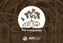 MPF e MP/AL participam de soltura de tartaruga marinha em Maceió/AL — Procuradoria da República em Alagoas
