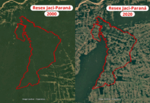 MPF pede que gestão da Reserva Extrativista Jaci-Paraná, em Rondônia, passe para a União — Procuradoria da República em Rondônia