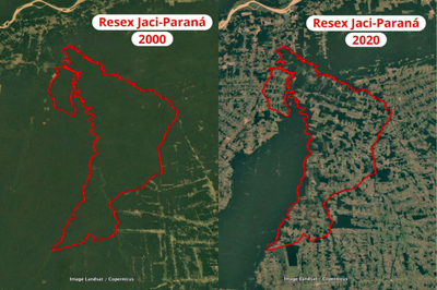 Imagem: InfoAmazônia - Mapas da Reserva Extrativista em 2000 e em 2020, lado a lado, revelando o desmatamento Imagens de satélite mostram mapas da Reserva Extrativista em 2000 e em 2020, lado a lado, revelando o desmatamento