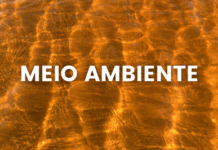 Manutenção da Bandeira Azul exige monitoramento constante, alerta MPF em reunião sobre praia do Patacho, em Porto de Pedras/AL — Procuradoria da República em Alagoas