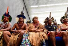 TRF1 reconhece direito de Pataxós à área da Fazenda Paraíso, no sul da Bahia — Procuradoria Regional da República da 1ª Região