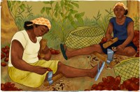 Arte: Comunicação/MPF Legado da terra: a jornada sustentável dos povos tradicionais dos babaçuais, da caatinga e da restinga