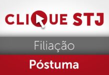 Retorno do filho à família biológica não impede reconhecimento de filiação socioafetiva póstuma