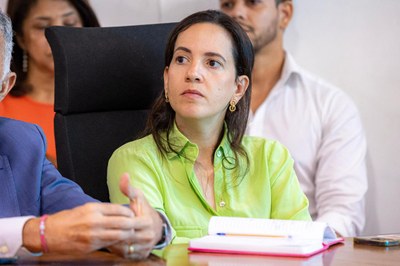 Foto da procuradora Julia Cadete durante a reunião