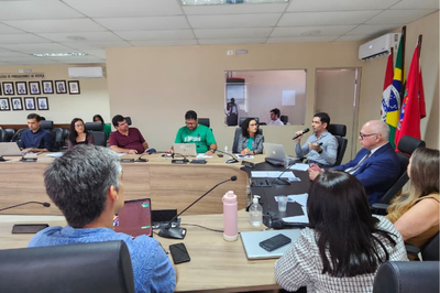 Um grupo de pessoas participa de uma reunião em uma sala de conferências. Elas estão sentadas em torno de uma grande mesa. Um dos participantes fala ao microfone. Ao fundo, estão as bandeiras do Brasil e de Alagoas.