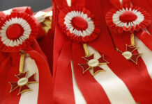 TST homenageia personalidades e instituições com a Ordem do Mérito Judiciário do Trabalho