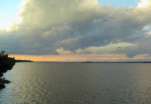 A pedido do MPF, Justiça anula registro privado e confirma que Ilha Grande, no Pará, é bem público da União — Procuradoria da República no Pará