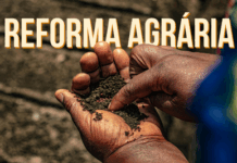 Atendendo a pedido do MPF, Justiça determina a reintegração de posse de assentamento na Gleba Pacoval, no Pará — Procuradoria da República no Pará