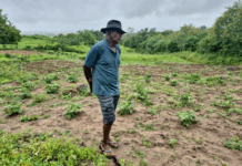 FPI do São Francisco visita comunidade quilombola Gameleiro e alerta para riscos de plantio em área de antigo lixão — Procuradoria da República em Alagoas