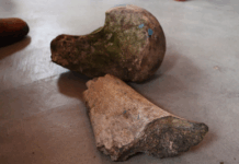 FPI do São Francisco visita possível sítio paleontológico em comunidade quilombola de Aguazinha, em Carneiros — Procuradoria da República em Alagoas