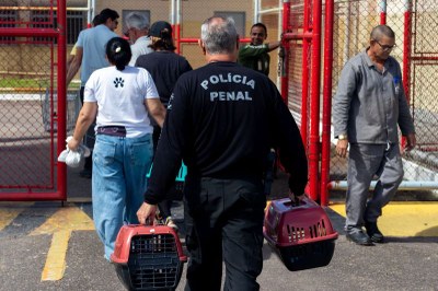 Policial penal  carrega duas caixas com gatos. É possível ver um portão vermelho e outros funcionários e colaboradores do projeto.