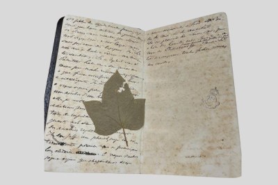 Foto da caderneta de viagem do imperador D. Pedro II aberta mostrando as anotações e uma folha verde colada por cima