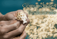 MPF adota medidas para proteger território do Quilombo Quingoma em Lauro de Freitas (BA) — Procuradoria da República na Bahia