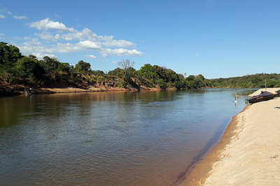 Foto mostra trecho de rio de água escura com faixa de areia em uma das margens e vegetação densa na outra