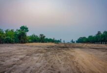 MPF apura obra de estrada sem licença ambiental em Terra Indígena no Xingu (MT) — Ministério Público Federal em Mato Grosso