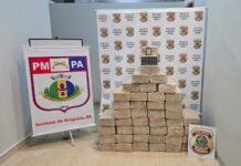 MPF concorda com pedido da PF para destruição de cocaína apreendida no Pará, avaliada em R$ 80 milhões — Procuradoria da República no Pará