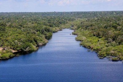 A imagem mostra um rio de águas escuras cercado por densa floresta verde, visto de cima, sob um céu claro com poucas nuvens.