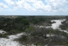 MPF denuncia responsáveis por extração ilegal de areia em área protegida em Marechal Deodoro (AL) — Procuradoria da República em Alagoas