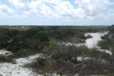 Foto: IMA/AL Foto mostra área de dunas de areia clara com vegetação verde