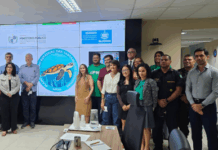 MPF integra construção do Plano de Ação Estadual das Tartarugas Marinhas — Procuradoria da República em Alagoas