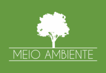 MPF obtém condenação de três mineradores e uma empresa por extração ilegal de areia em área de preservação ambiental em São Luís (MA) — Procuradoria da República no Maranhão