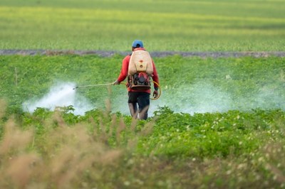 Foto ilustrativa: Canva Foto colorida mostra homem de costas aplicando agrotóxico em lavoura, com um pulverizador nas costas; há nuvens do produto sobre as plantas.