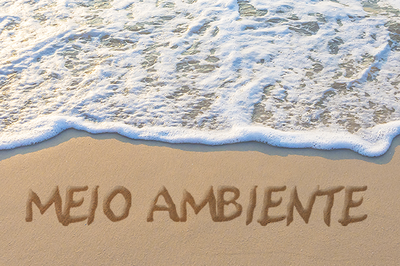 Arte: Comunicação/MPF Arte mostra, ao fundo, foto de paisagem espuma do mar e areia da praia, e a expressão 'Meio Ambiente' escrita em letras marrons.