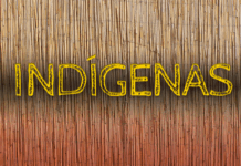 MPF recomenda à Funai dar visibilidade aos limites da Terra Indígena Sagarana, em Rondônia — Procuradoria da República em Rondônia