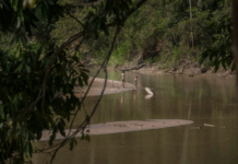 MPF recomenda aos governos municipal, estadual e federal a construção de moradias para indígenas Noke Koi no AC — Procuradoria da República no Acre