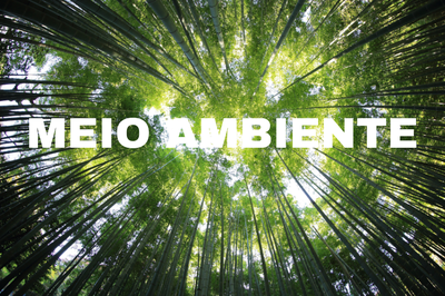 Ilustração: Secom/MPF #ParaTodosVerem: a foto de fundo mostra muitas árvores, num ângulo de baixo para cima, com caules altos convergindo em direção ao céu; as copas verdes deixam a luz do sol atravessar, criando um efeito de claridade entre as folhas. No centro da foto, em letras brancas grandes, está escrito: “MEIO AMBIENTE”.