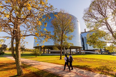 Ipês Amarelos, floresceram em agosto nos jardins do Edifício-sede da Procuradoria Geral da República