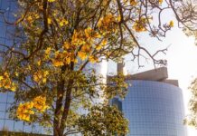 Violência familiar impede volta imediata de crianças ao país de residência habitual, decide STF — Procuradoria-Geral da República