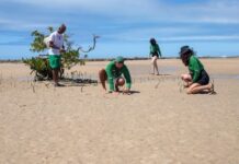 MPF obtém condenação de responsáveis por poluir área de manguezal em Natal (RN) — Procuradoria da República no Rio Grande do Norte