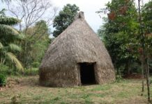 TRF1 mantém sentença que fixa prazos para demarcação de terra ocupadas pelos povos Cassupá e Salamãi em Chupinguaia (RO) — Procuradoria Regional da República da 1ª Região