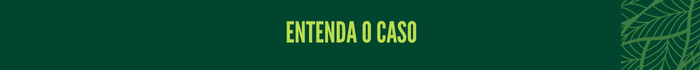 Entenda o caso