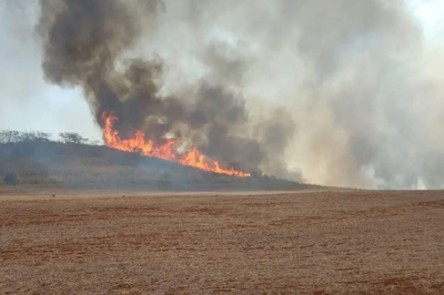 Foto de área queimada em meio à fumaça