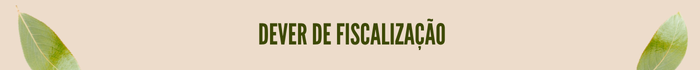 Dever de Fiscalização
