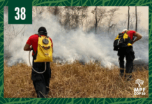 MPF atua para proteger ribeirinhos e população em geral dos efeitos da estiagem histórica em Rondônia — Procuradoria-Geral da República